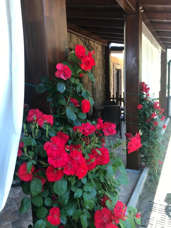 Agriturismo A Casa Di Susanna Santo Stefano del Sole Exterior photo